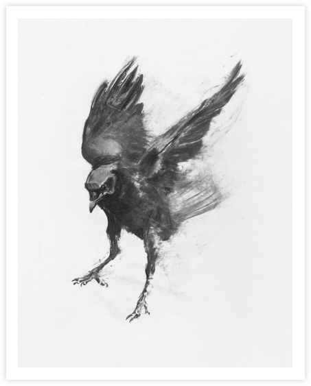 society_6crow2_sm
