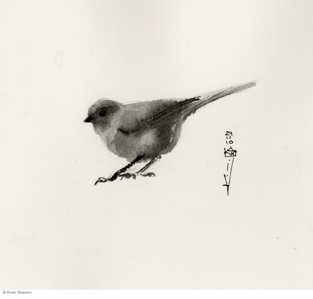 drawing_birds_bushtit_1024px