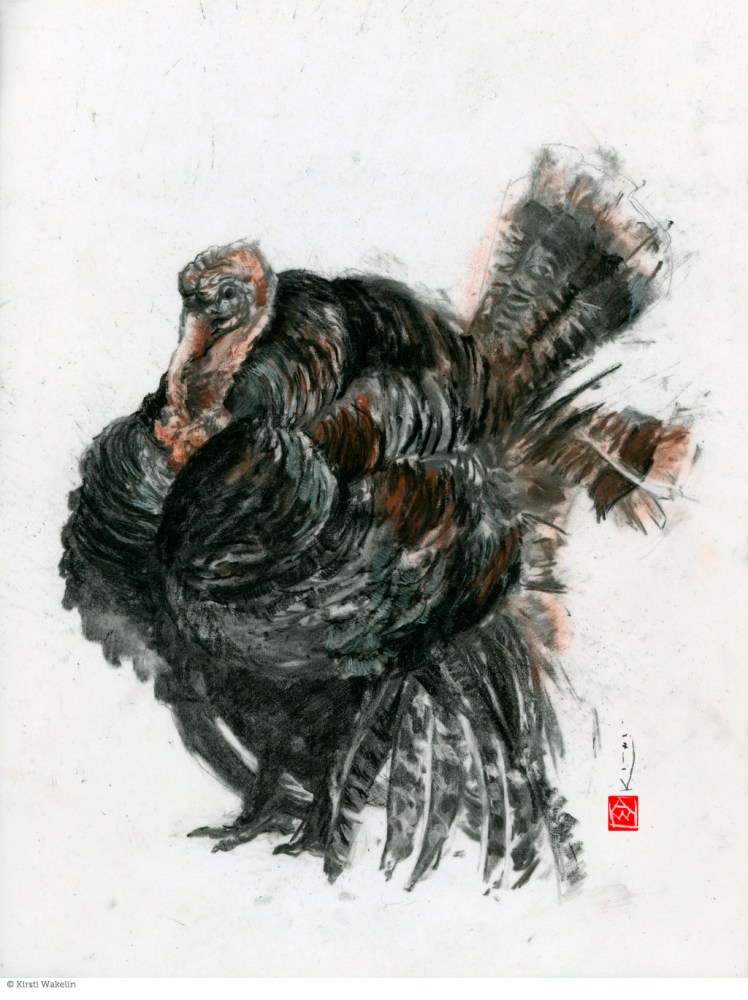 drawing_birds_turkey_1024px