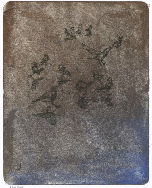 Sketch_Monotype_PuddleCrows_1024