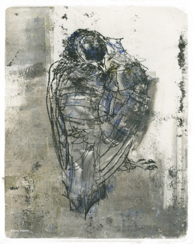 Sketch_Monotype_Pigeon_1024px