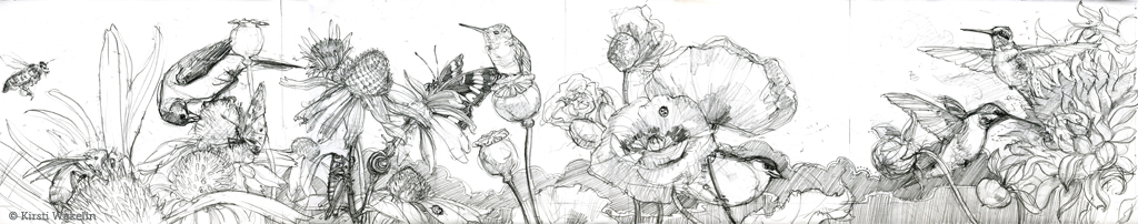 SKETCH_hummingbirds_panel_1024