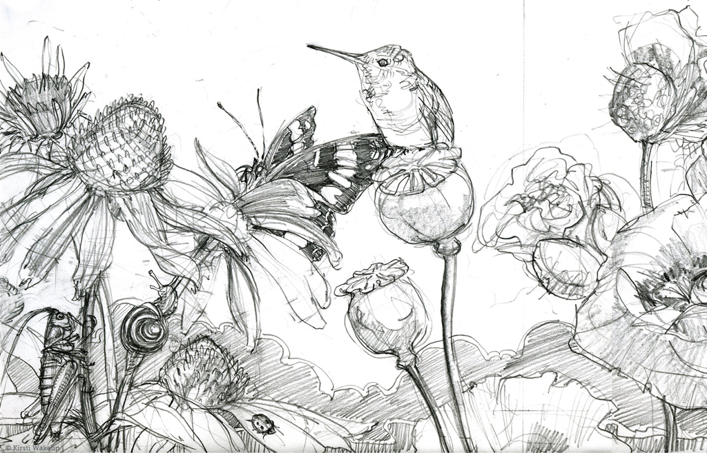 SKETCH_hummingbirds_panel_det2_1024