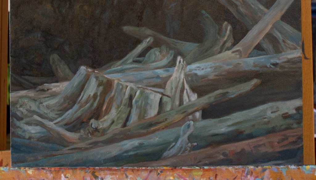 CrowsRockDriftwood_sm (1 of 1)-3