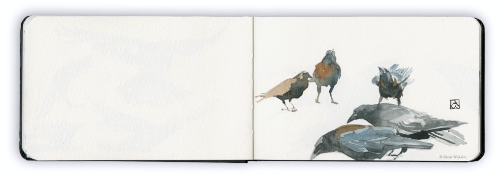 Sketch_WCcrow_1920_4