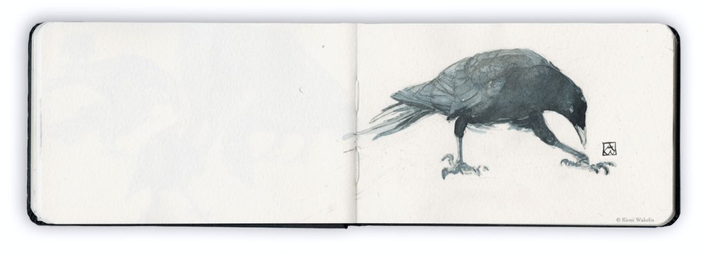 Sketch_WCcrow_1920_5