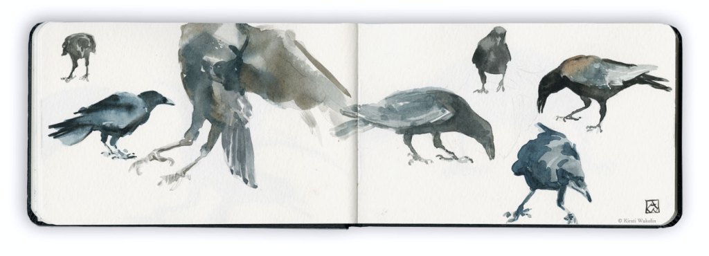 Sketch_WCcrow_1920_7