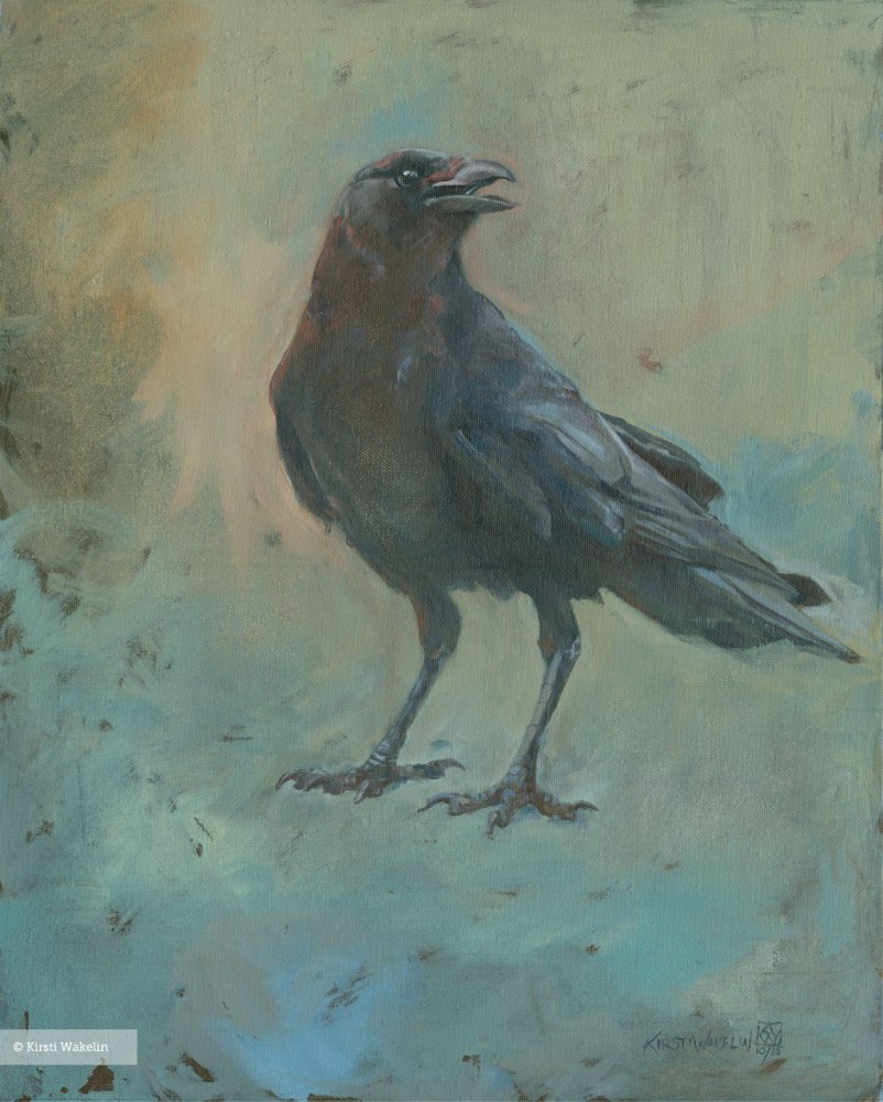 Painting_birds_JuvenileCrow_1024_2